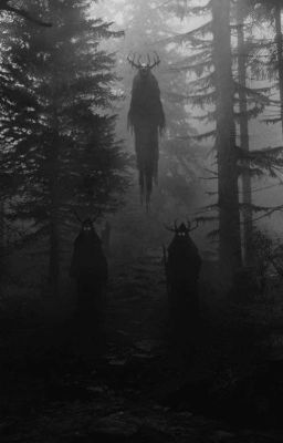 mystery of red woods (rp)