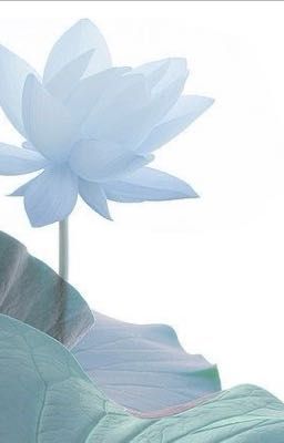 Năm 17 gặp được anh