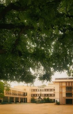 năm cấp 3 #duonggem