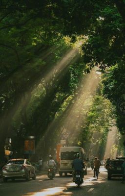 Năm Mười Bảy Tuổi