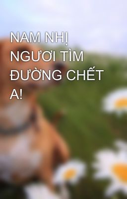 NAM NHỊ NGƯƠI TÌM ĐƯỜNG CHẾT A!