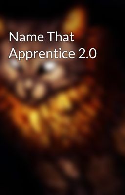 Name That Apprentice 2.0