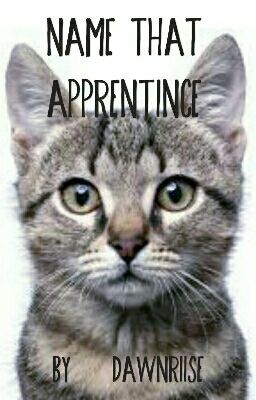 Name That Apprentince