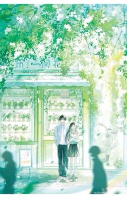 Nắng Hạ cuối mùa