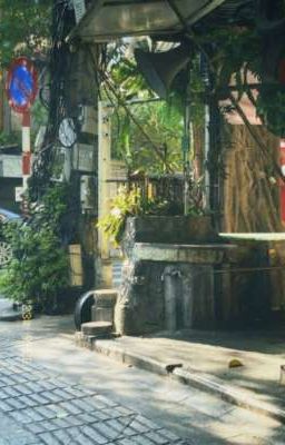 Nắng mùa Hạ. 