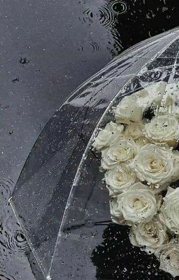 [NaruSasu] Mèo nhỏ