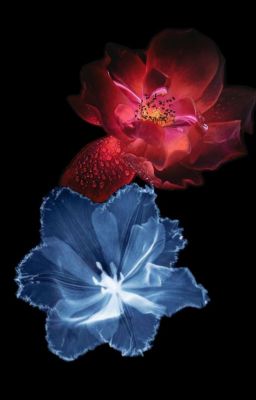 [Naruto x Jujutsu Kaisen] Đỏ Và Xanh