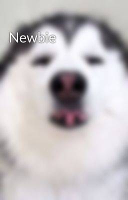 Newbie