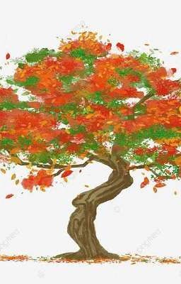 Nghe trong gió có tiếng của em