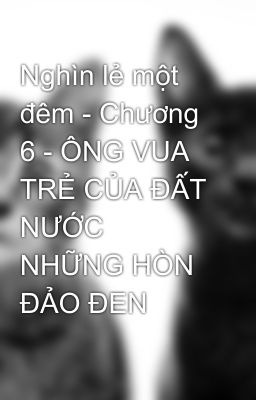 Nghìn lẻ một đêm - Chương 6 - ÔNG VUA TRẺ CỦA ĐẤT NƯỚC NHỮNG HÒN ĐẢO ĐEN