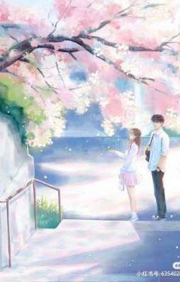 Ngõ Nhỏ Có Ánh Nắng 