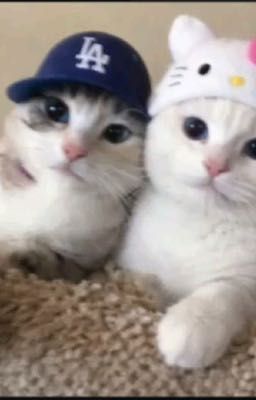 ngọc.vũ; cổ tích