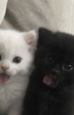 ngọc.vũ; răng khôn