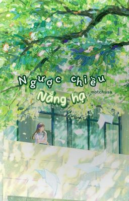 Ngược chiều nắng hạ