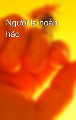 Người lạ hoàn hảo