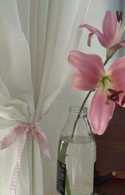 người lùa gà gặp cha bán cáo