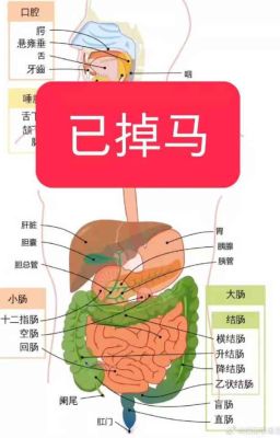 Nguyên lai ta không phải bệnh tâm thần a - Thâm Hải Thủ Thuật Đao