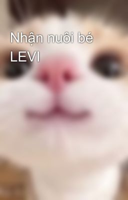 Nhận nuôi bé LEVI