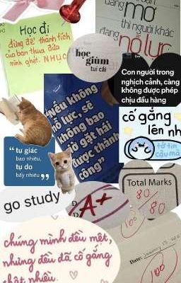 Nhật kí hành trình thi vào 10