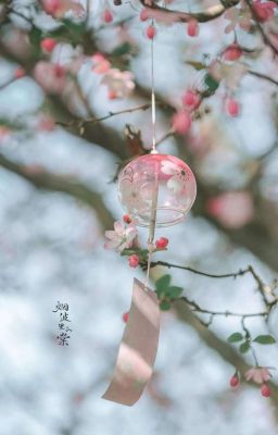 Nhớ Bà Ngày Mưa