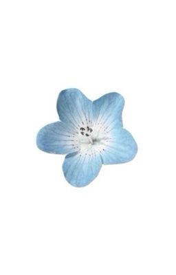 Nhớ, hôn và yêu. 