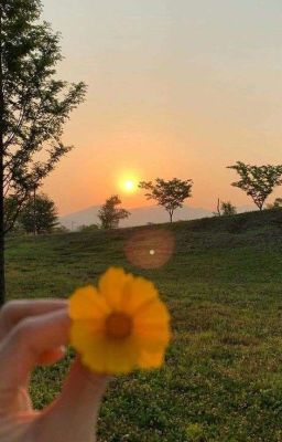 {Nhóm bạn của Iris-Nơi xàm Xí+tạo nghiệp✩}