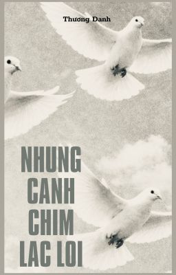 Những cánh chim lạc lối