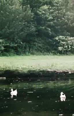 Những câu chuyện do Chat GPT viếtt 