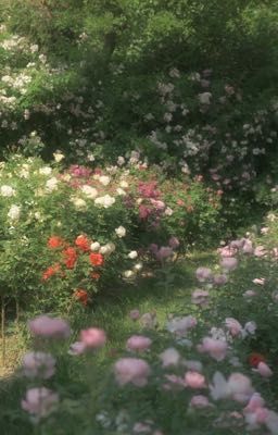 Những con chữ ngẫu hứng của tớ