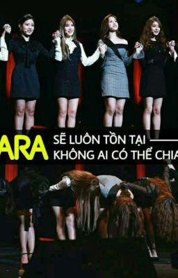 nhung dieu thu vi ve t-ara (/minyeon)