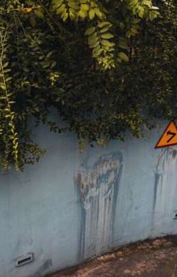 Những Giấc Mơ Lạ:))