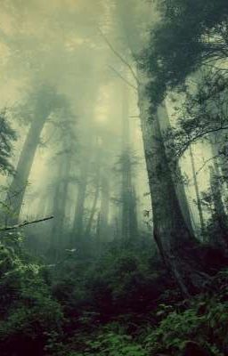 Những Kẻ Gan Dạ