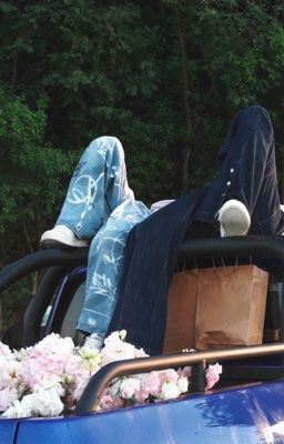 NinhDu • Trans | Hành Trình Đến Bình Minh