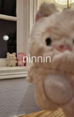 nìnnin