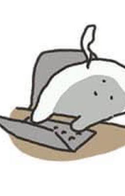 Nơi Chúng ta tồn tại