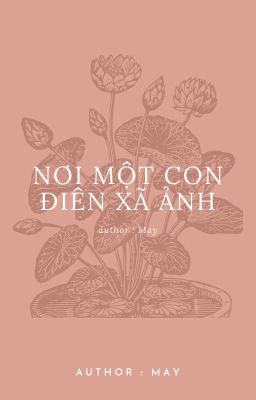 Nơi một con điên xã ảnh