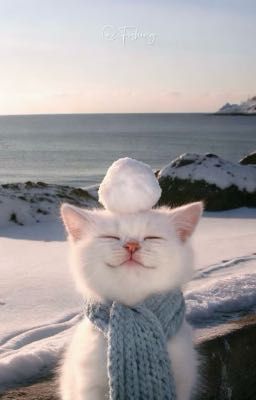 nói nữa là có cái lắc tay số 8 / atsh1-2/