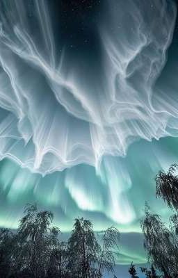 Nơi Vùng Cực Không Thấy Ánh Nắng 