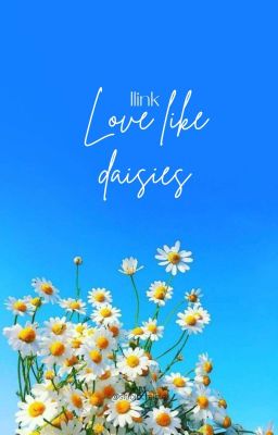 NOMIN ♡ Love Like Daisies