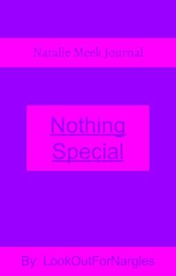 Nothing Special