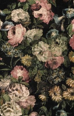 [NP/EDIT] Bé ngốc bị nhóm chó hư bắt nạt