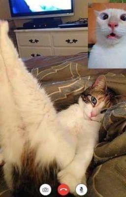 [NP/H] Điều Cần Có Của Một Chủ Kênh Người Lớn