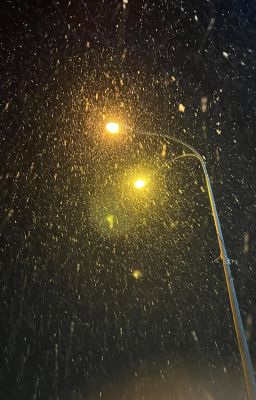 [NutHong] Hừng Đông