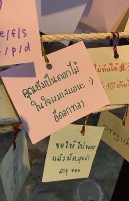nuthong | paper moon