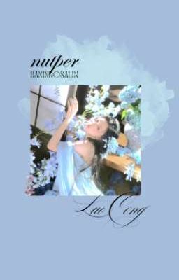 Nutper | Honey