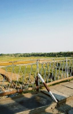 Ở Hà Nội: Sad, Beautiful.