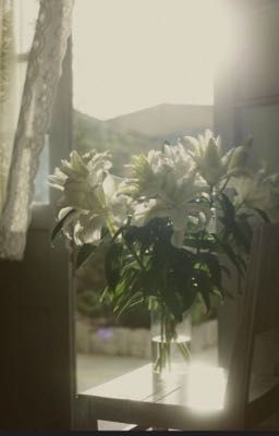 obikaka ꔫ đôi ta ở muôn vàn ngã rẽ 