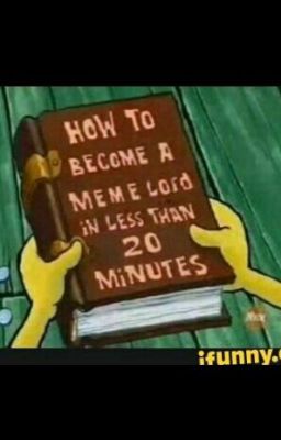 Oh Look a Book From a Blook
