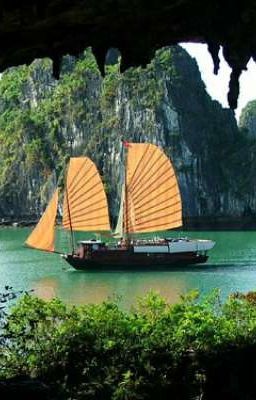 Omegaverse nhưng lại có vô vàn giới tính khác