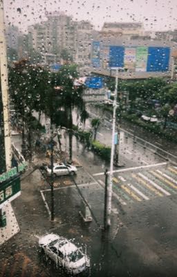 on2eus| hôn nhân là nấm mồ của tình yêu